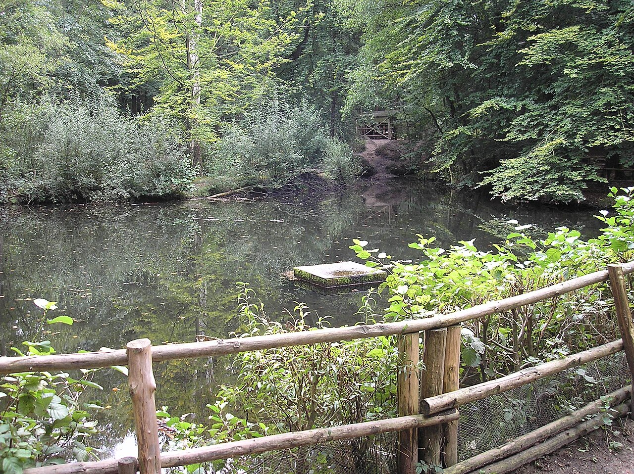 Placeholder image
